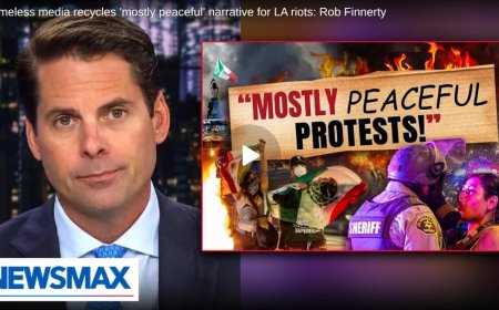 Shameless media recycles 'mostly peaceful' narrative for LA riots: Rob Finnerty